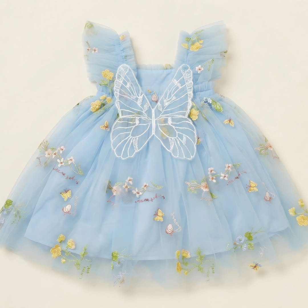 Sky blue tulle butterfly dress for toddler girls - embroidered wildflowers and butterflies
